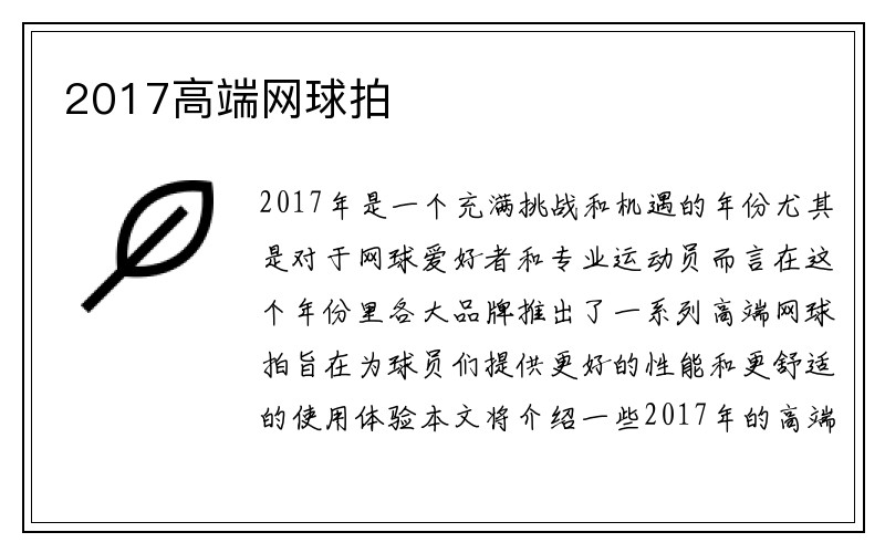 2017高端网球拍